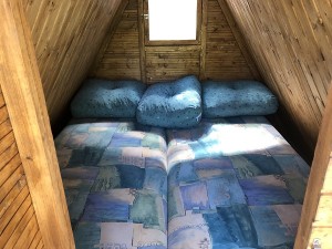 img_1042.jpg